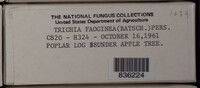 Image Associated With the Occurence